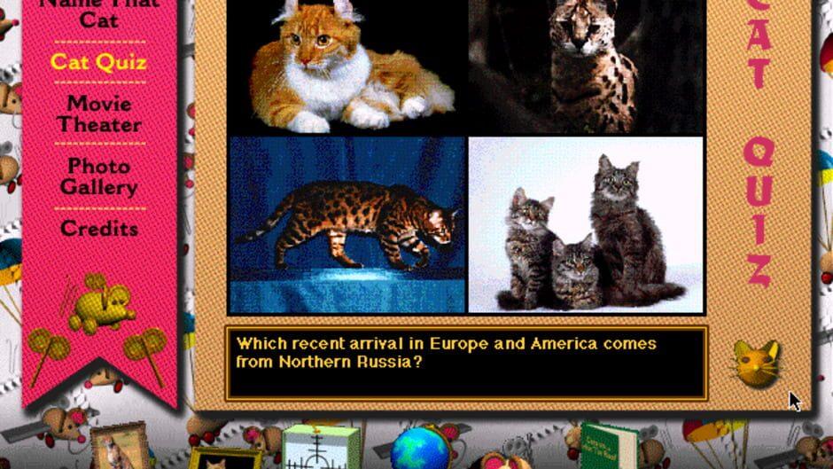 Multimedia Cats screenshot 4