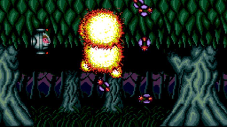 Barunba screenshot 3