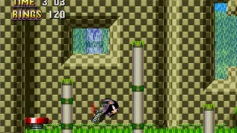 Sonic & Ashuro screenshot 1