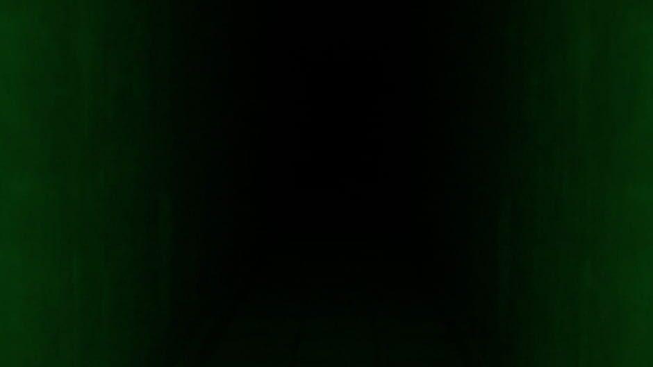 FeedVid screenshot 3