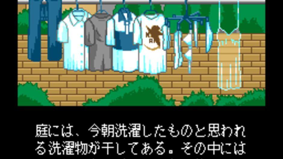 Shinsetsu Shiawase Usagi F: Yuujou Yori mo Aiyoku screenshot 3