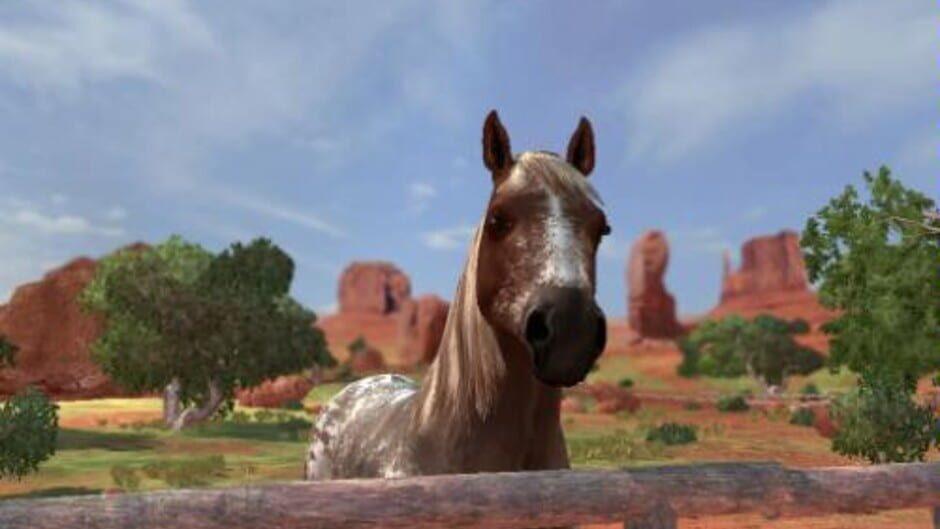 Ellen Whitaker's Horse Life screenshot 3