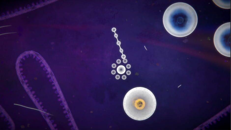Focus Find screenshot 3