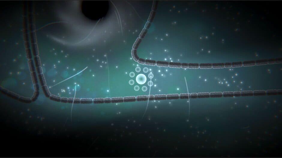 Focus Find screenshot 4