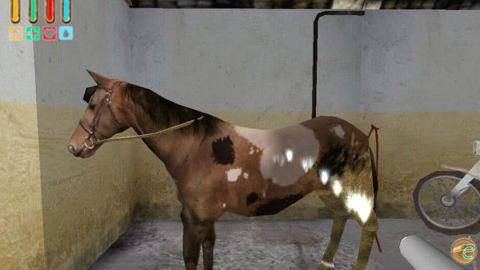 Alexandra Ledermann 4: Adventures at stud screenshot 4