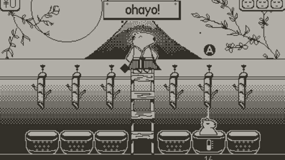 Capy Spa screenshot 3