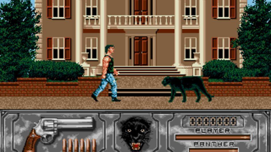 Wild Streets screenshot 1