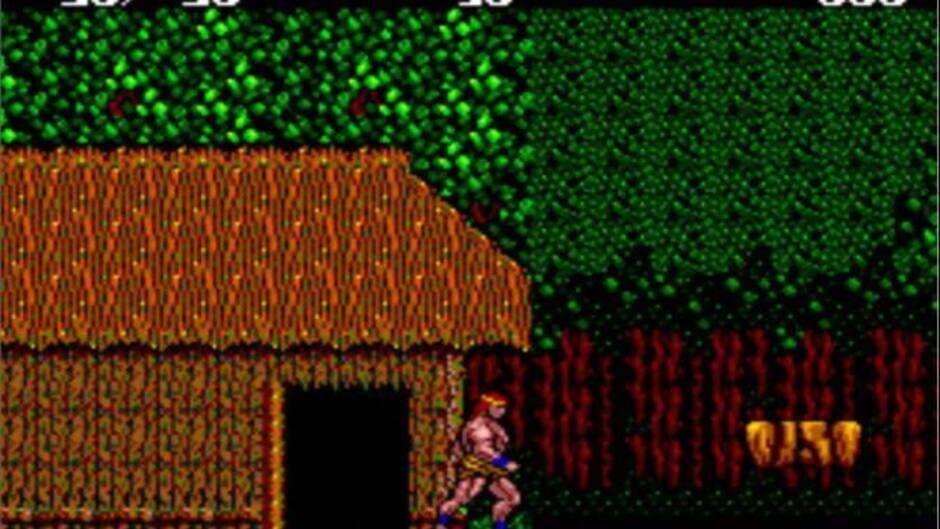 Danan: The Jungle Fighter screenshot 2