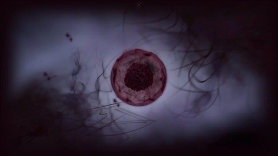 Cyrano Story screenshot 4