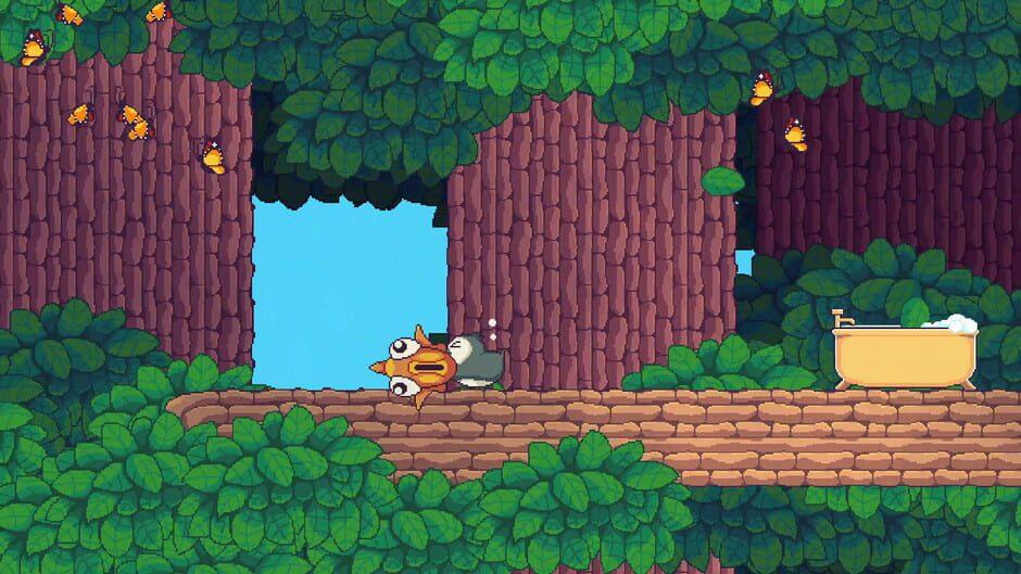 Songbird Symphony screenshot 4