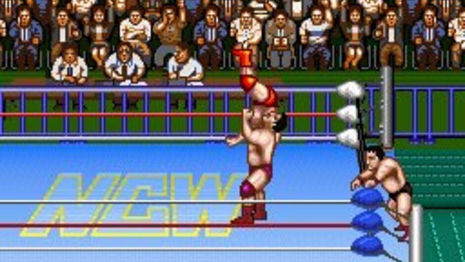 Natsume Championship Wrestling screenshot 1