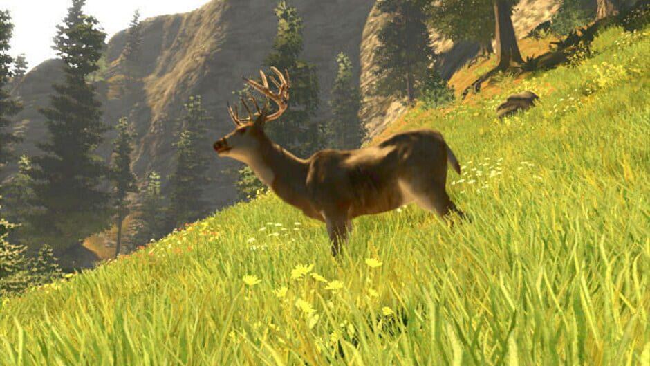 Cabela's Trophy Bucks screenshot 4