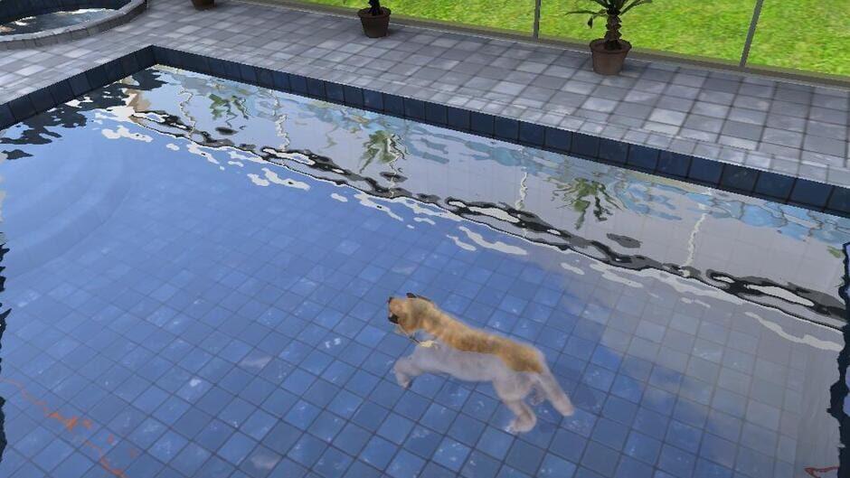 Paws & Claws: Pampered Pets screenshot 1